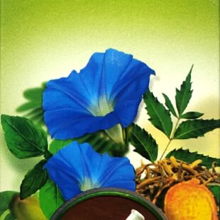 SAFI Natural Blood Purifier 200ml